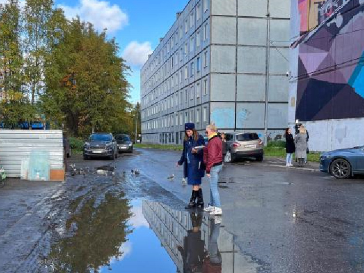 В Мурманске проверили организацию отвода сточных вод на улицах Нахимова и Лобова