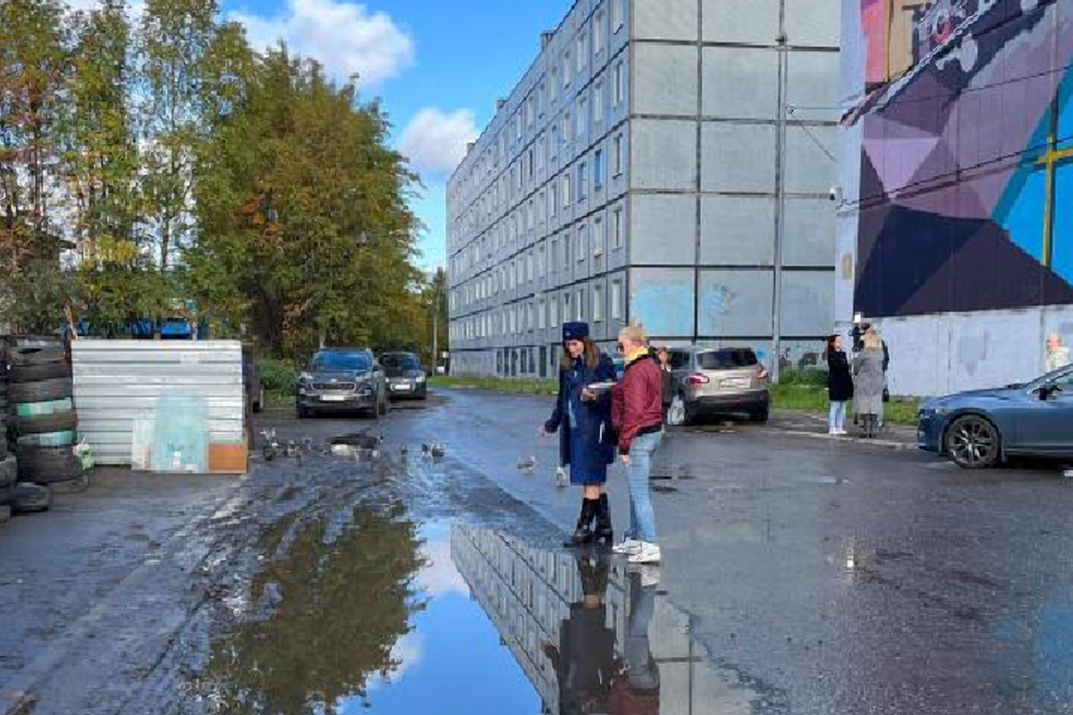 В Мурманске проверили организацию отвода сточных вод на улицах Нахимова и  Лобова - МК Мурманск