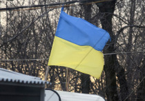Журналист Питер Хитченс, работающий в британской газете Daily Mail, заявил, что конфликт на Украине мог бы быть урегулирован давно, если бы его не преподносили как противостояние добра и зла