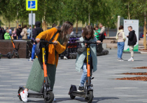 Крупные города могут лишить удобной «мультимобильности» ради безопасности пешеходов