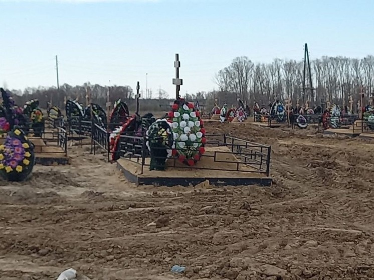 Жители Ярославской области бьют тревогу по поводу массового разграбления кладбищ