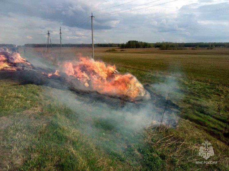 Сено загорелось в селе на Сахалине
