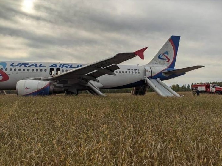 «Уральские авиалинии» возместят аграриям Новосибирска ущерб от севшего в поле самолета