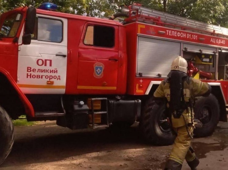 При пожаре в Панковке Новгородского района погибли два человека