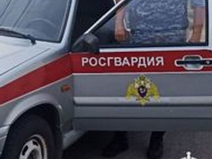 Канал Baza сообщил о взорвавшемся под Воронежем при осмотре Росгвардией беспилотнике