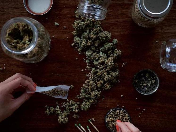 У сельчан в Бурятии нашли 10 кг марихуаны