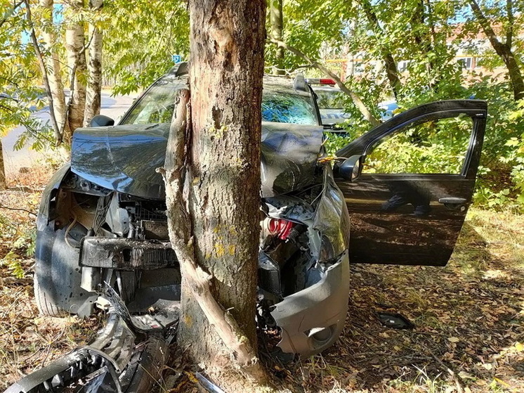 На улице Крылова в Йошкар-Оле нетрезвый водитель разбил машину о дерево