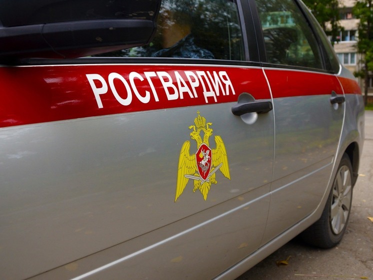 За неделю в Хабаровском крае задержаны больше 50 нарушителей порядка