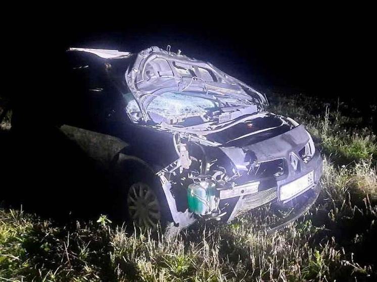 Около Новомичуринска водитель Renault насмерть сбил лошадь