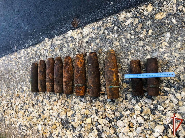 В лесу Марий Эл грибник нашел боеприпасы