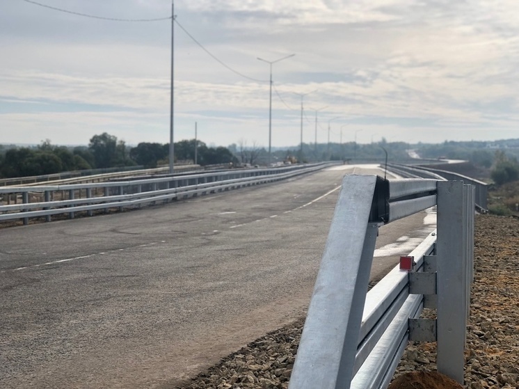 Упавший с моста около Педагогического университета туляк жив