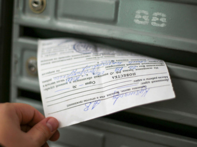 Картаполов: в осенний призыв штрафа за неявку по электронной повестке не будет