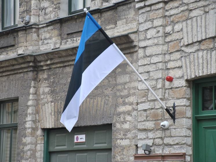 Поляка оштрафовали на границе с Эстонией за георгиевскую ленту