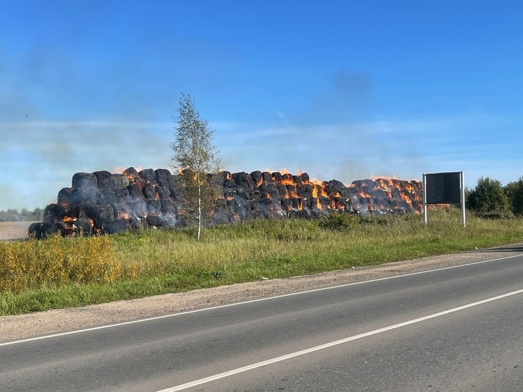В Тверской области на 600 квадратных метрах выгорела солома