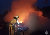 19 сентября ожидается высокая пожароопасность в Каменском, Краснощёковском, Первомайском, Тальменском, Тогульском, Хабарском, Чарышском районах и городе Барнауле