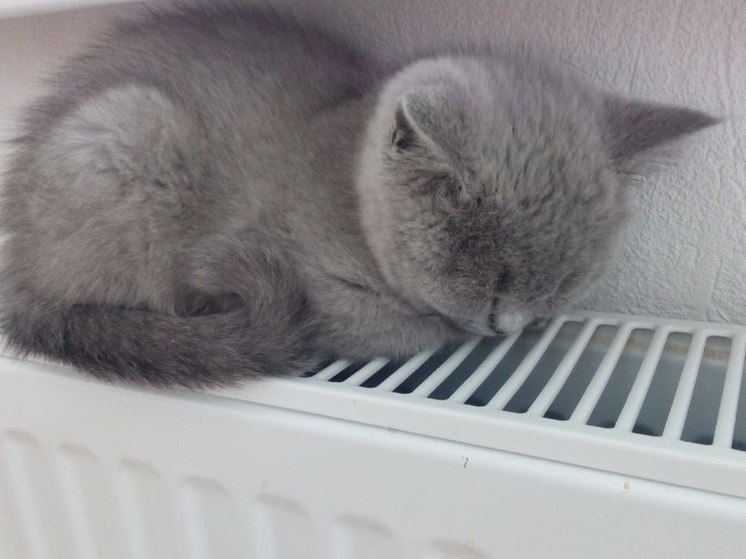 В петербургских квартирах отопление включат не раньше конца сентября
