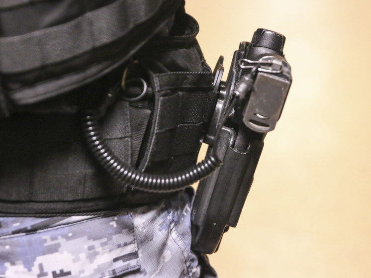 ФСБ задержала двух сторонников «Легиона "Свобода России"» в Ростовской области