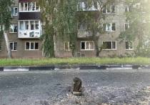 С начала СВО в Белгородской области повреждения получили 7 929 жилых помещений