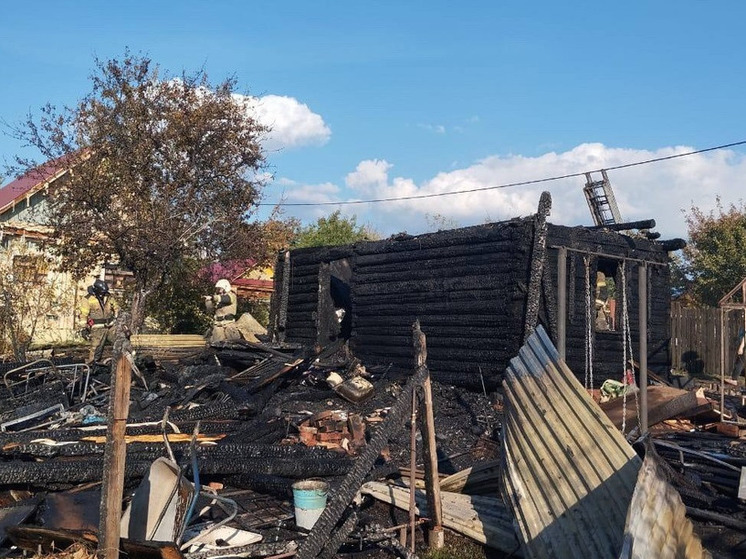 Три садовых участка сгорели в пожаре в СНТ "Пирогово"