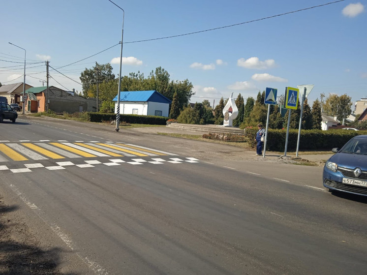 В Тамбовской области появятся инновационные пешеходные переходы