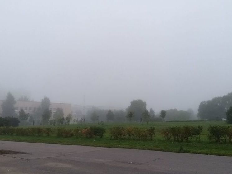 Жителям Ленобласти пообещали туман и дожди 19 сентября