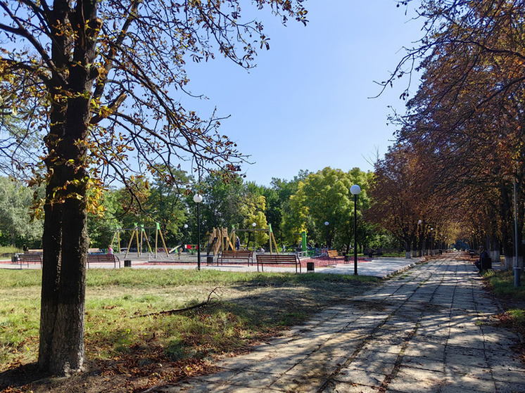 Липчане благоустраивают парк в ДНР