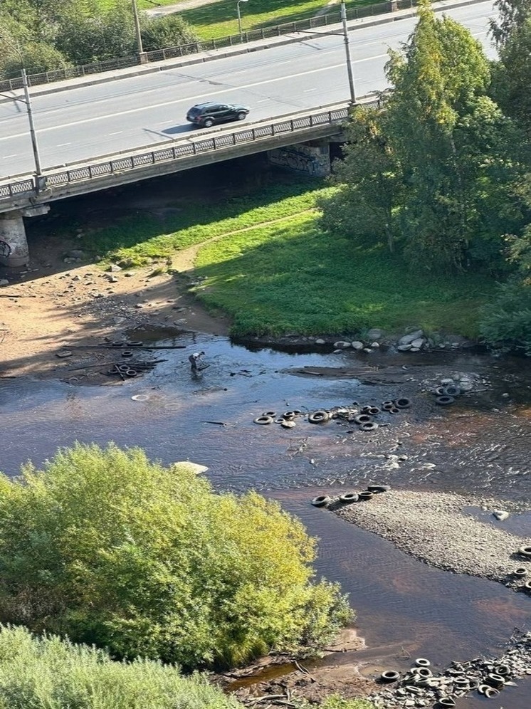 Неизвестный житель Петрозаводска в одиночку очищает реку от мусора