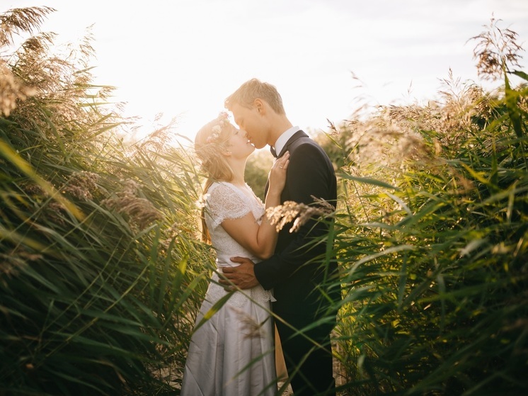 В Ленобласти за неделю зарегистрировали 210 браков