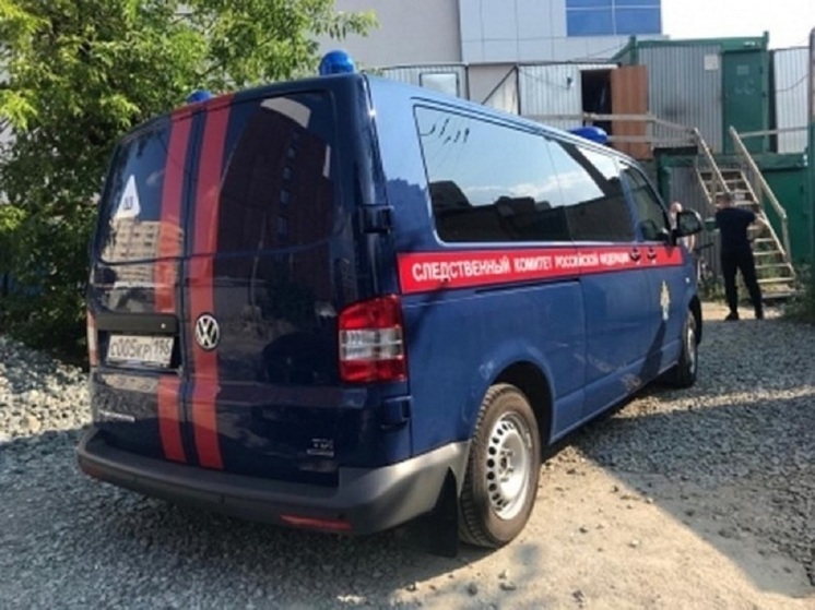 Возбудили уголовное дело из-за смерти ребенка в свердловской больнице