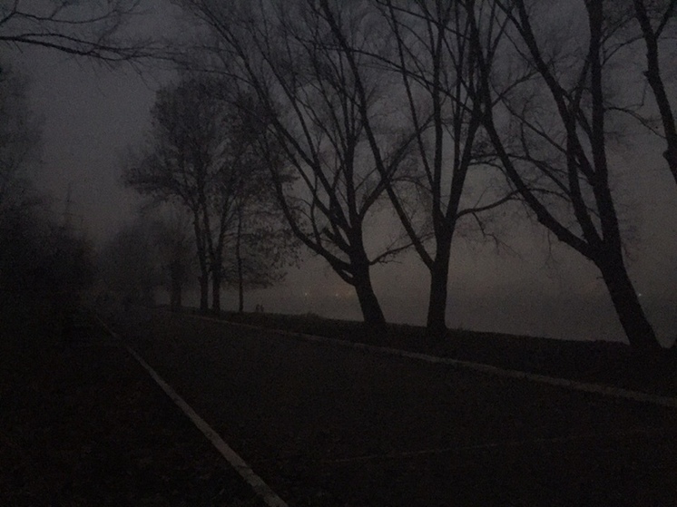 Жителей Тверской области предупреждают о тумане ночью и утром 19 сентября