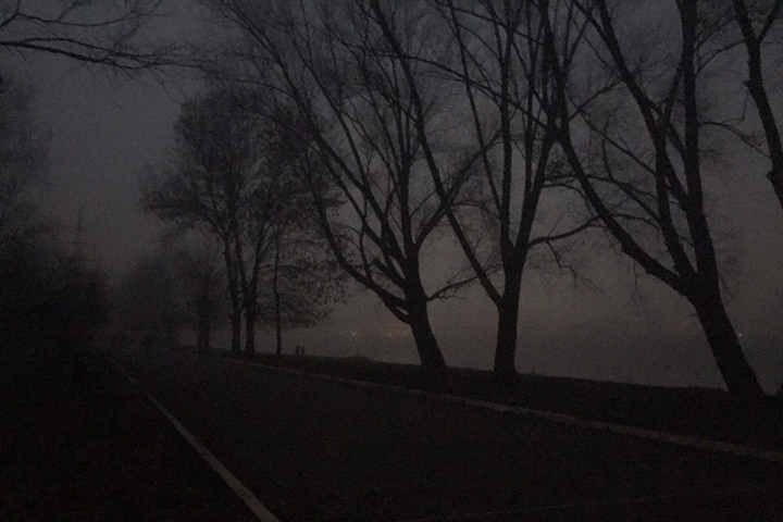 Жителей Тверской области предупреждают о тумане ночью и утром 19 сентября