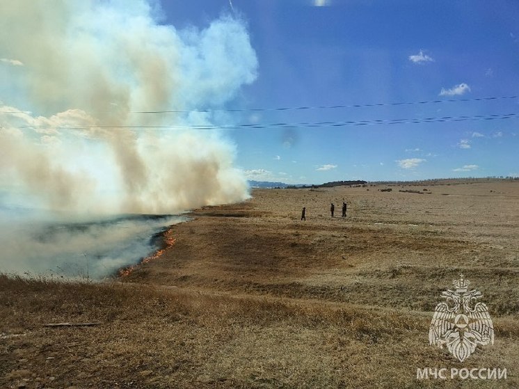 В прошедшие сутки в Хакасии горела трава
