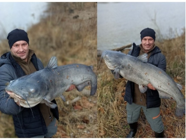 Рыбак из Новосибирска поймал в Вашингтоне огромного сома на «ножку Буша»