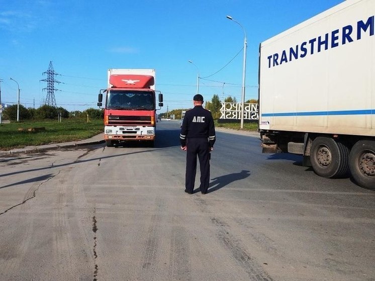 В Новосибирске с начала года в ДТП с грузовиками погибли 13 человек