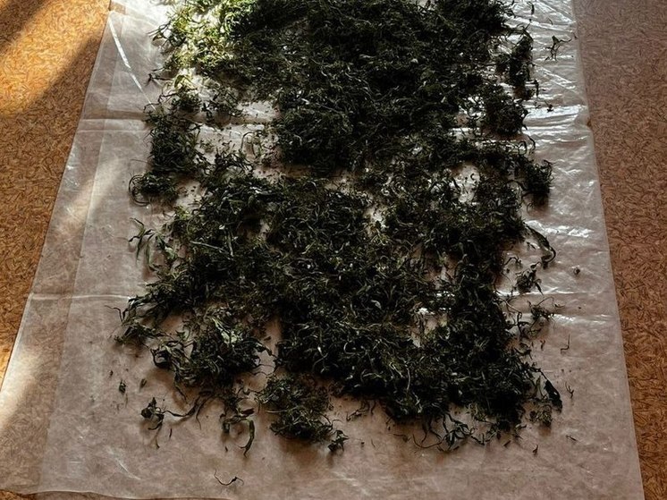 Полиция изъяла у жителя Сахалина почти 250 граммов марихуаны