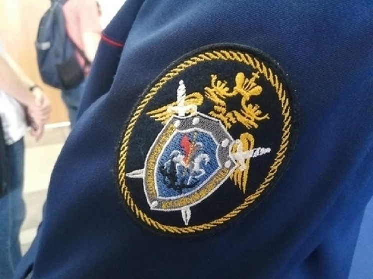 В Новосибирской области трое мужчин до смерти забили приятеля