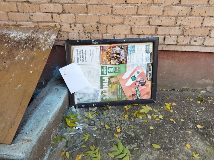 В Ярославле опять «порезвились» подростки: в результате вдребезги разбиты информационные доски