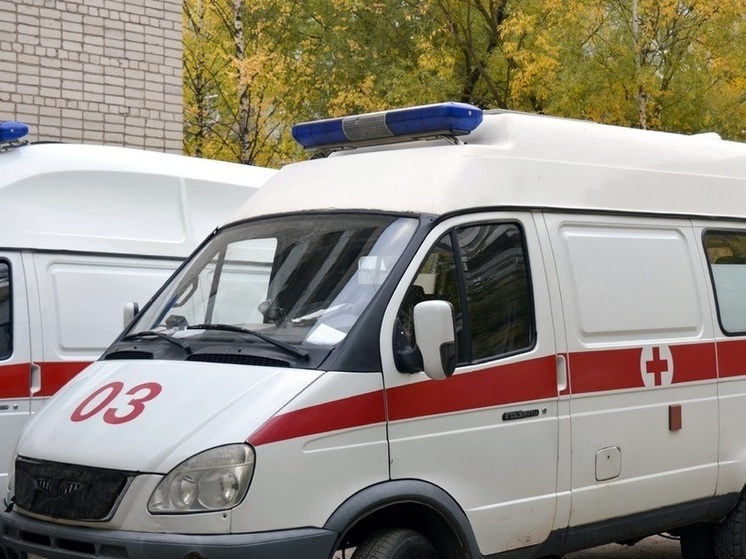 Пожилая женщина пострадала при обстреле брянского села