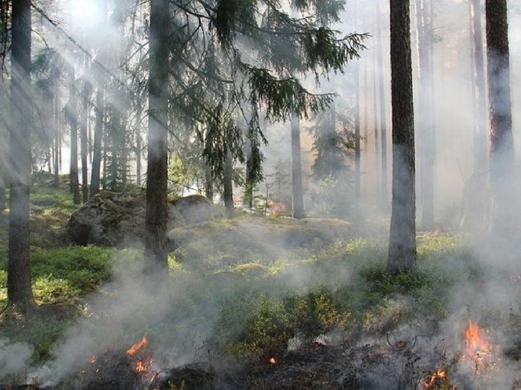 Белгородцам сообщили о чрезвычайной пожарной опасности