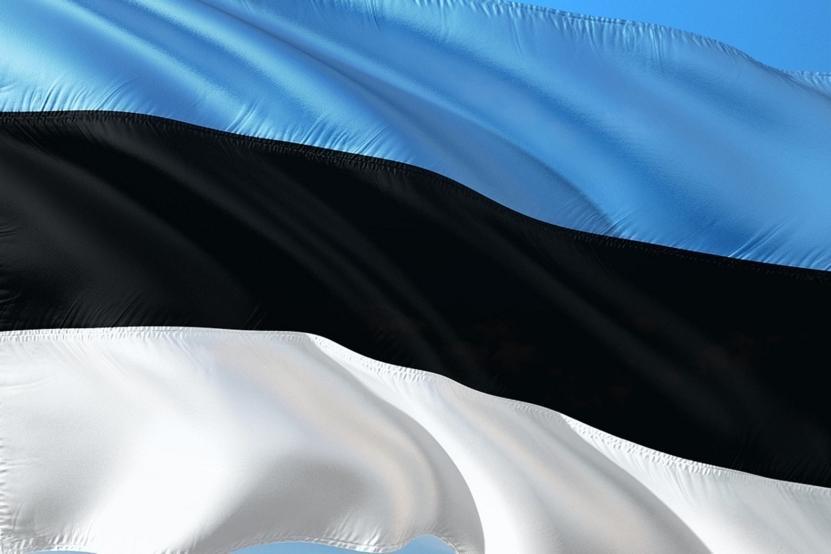 флаг эстонии картинки