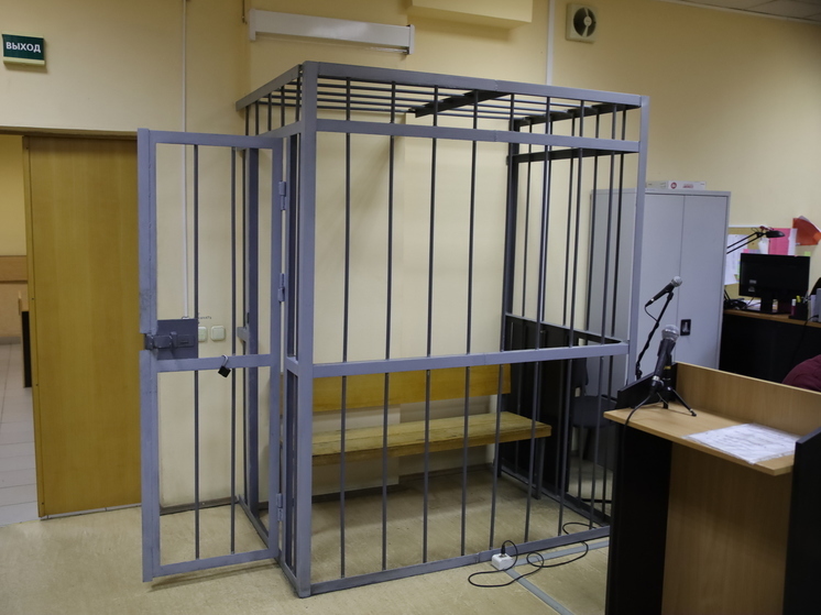 Житель Крестецкого района получил 2 года колонии-поселения за смертельное ДТП
