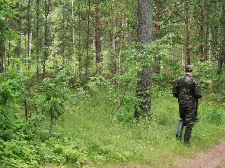 В Тверской области в лесу обнаружили тело 83-летнего мужчины