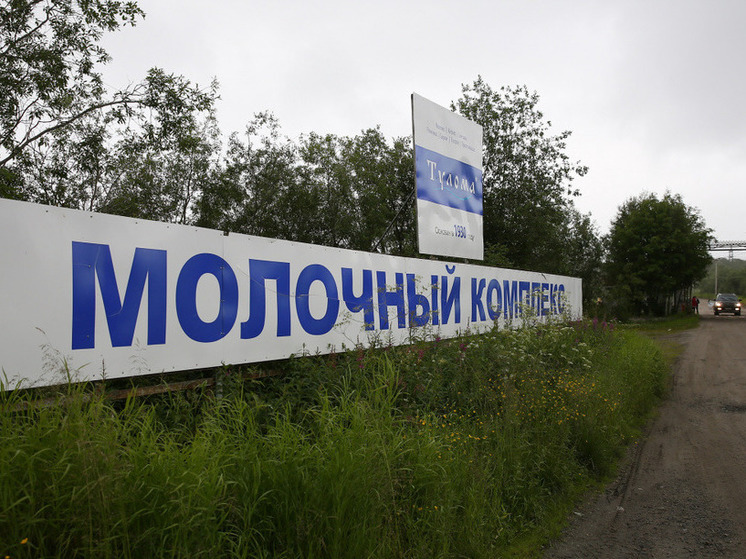 Предприятие «Тулома» может получить 21,4 млн рублей, чтобы избежать банкротства