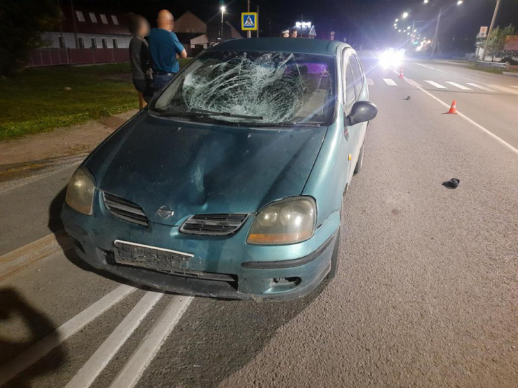 В алтайском селе пожилой пешеход погиб под колесами иномарки