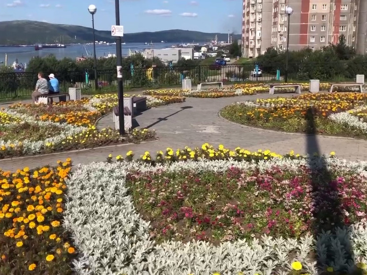 Более 16 тысяч цветов высадили этим летом у памятника «Ждущая» в Мурманске