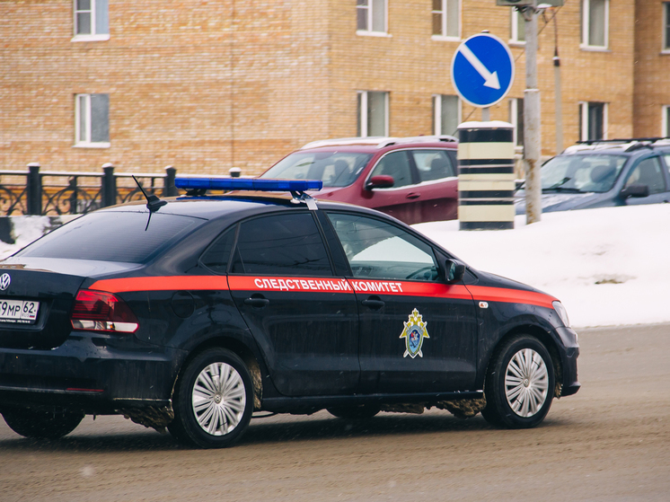 Троих жителей Рязанской области осудили за совершение ряда преступлений