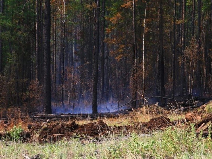 В Приангарье ликвидировали лесной пожар