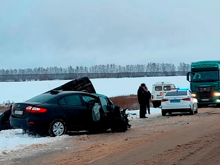 Брянский суд отправил в колонию водителя за ДТП с погибшей девочкой