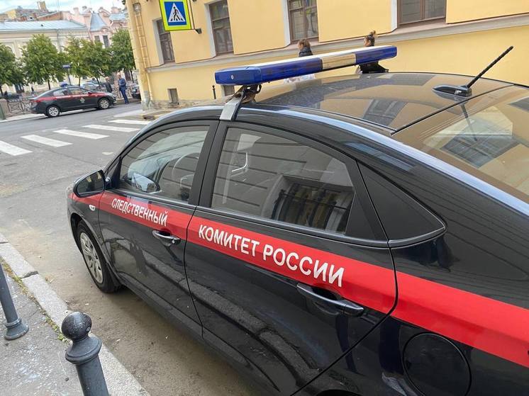 В Петербурге возбудили уголовное дело об организации незаконной миграции