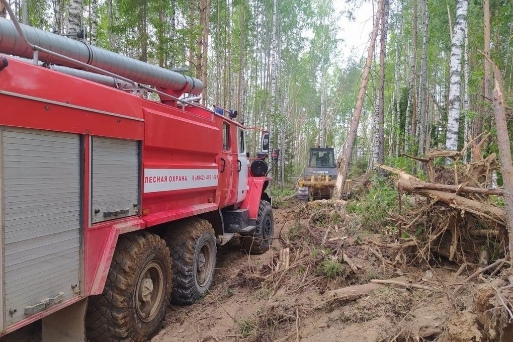 Костромской губернатор не зря предупреждал о пожарной опасности: один уже возник